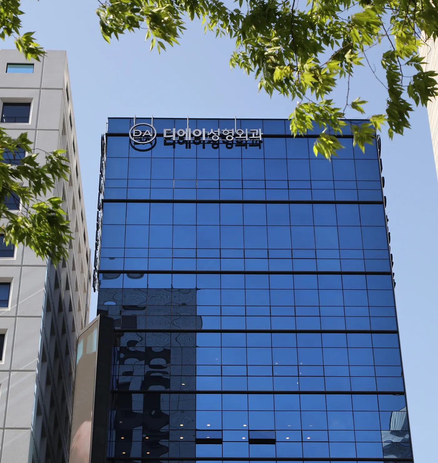 Seoul Plastic Surgery