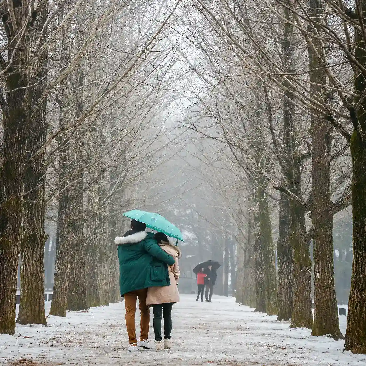 Nami Island