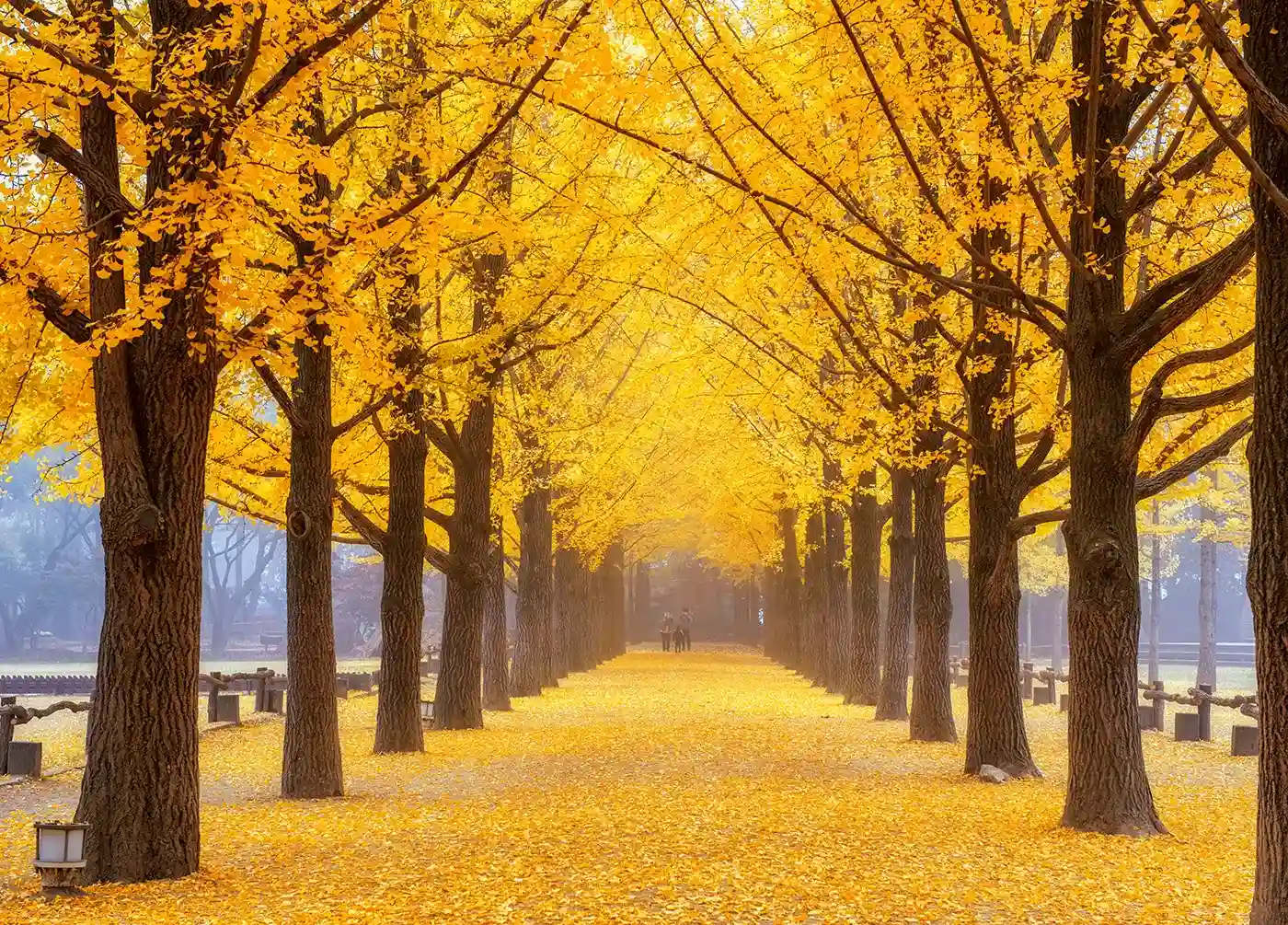 Nami Island